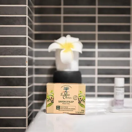 Lamiraute - Proche Centre - - Clim - Wifi * Menton